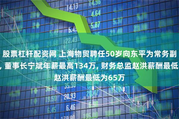 股票杠杆配资网 上海物贸聘任50岁向东平为常务副总经理, 董事长宁斌年薪最高134万, 财务总监赵洪薪酬最低为65万