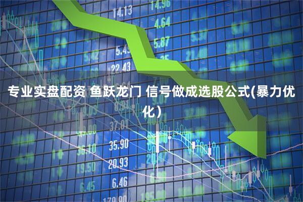 专业实盘配资 鱼跃龙门 信号做成选股公式(暴力优化）