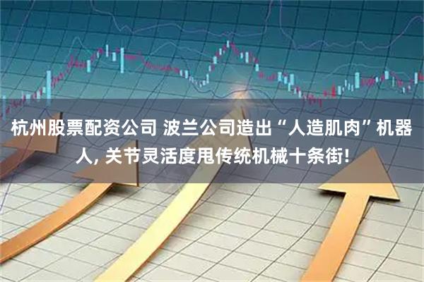 杭州股票配资公司 波兰公司造出“人造肌肉”机器人, 关节灵活度甩传统机械十条街!