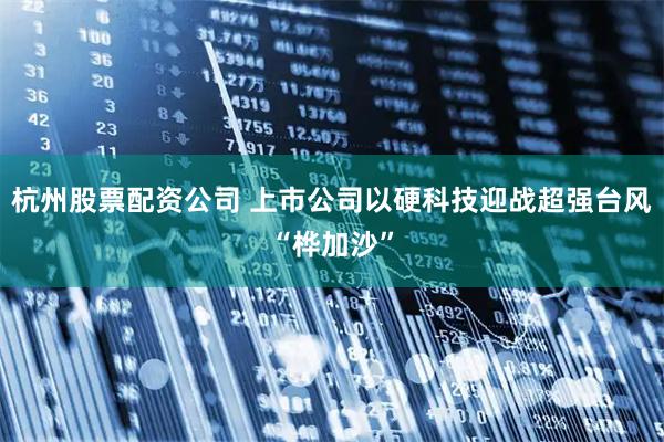 杭州股票配资公司 上市公司以硬科技迎战超强台风“桦加沙”